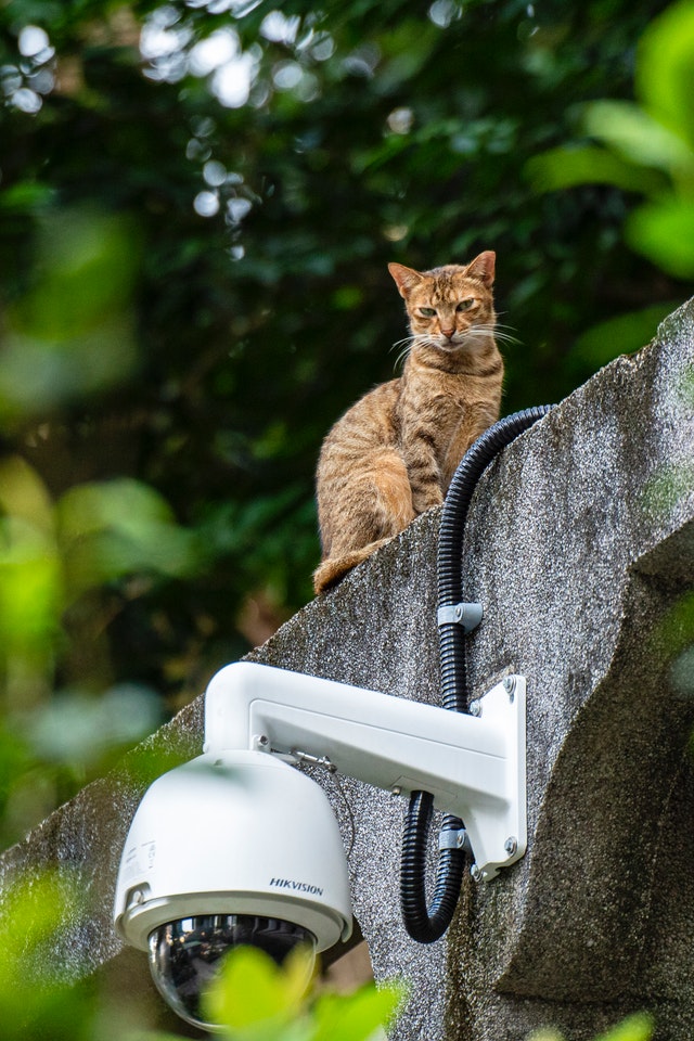 Arlo Security system